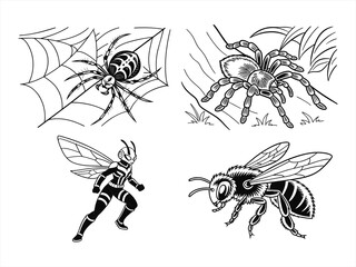 coloring page line art the butterfly black vector bundle