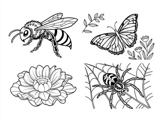 coloring page line art the butterfly black vector bundle