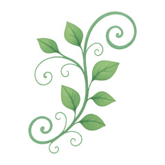 PNG Elegant green vine illustration