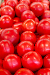Red tomatoes are lying in transparent trays on the shop counter. Tomato theme background