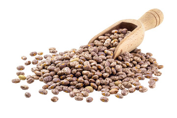 carioca bean seeds, brazilian beans, seeds on white background, isolated copyspace