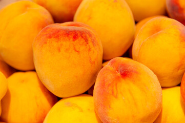 Brightly colored nectarines at the market. A vertical photo of the juicy, fresh fruit