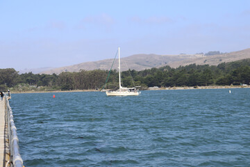 sailboat on the lake