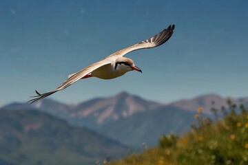 Bird Flying in the sky on transparent background