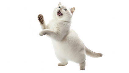 A playful white cat standing on its hind legs with an excited expression. its playful nature against a clean. white background. ideal for pet-themed content