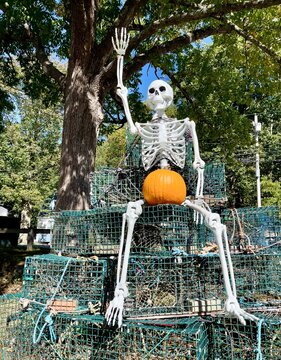 Halloween skeleton sitting on crates with a pumpkin on its lap