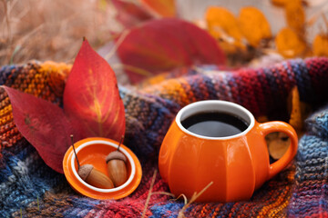 An autumn cup of hot coffee, a knitted warm scarf and autumn leaves