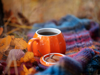 Autumn seasonal composition, orange mug of hot coffee with lid on a knitted warm scarf in an autumn forest or park.