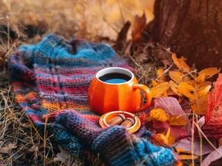 Autumn seasonal composition, orange mug of hot coffee with lid on a knitted warm scarf in an autumn forest or park.