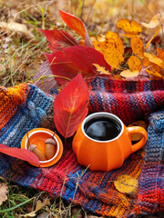 An orange cup of hot coffee, a warm knitted scarf in an autumn forest. A cozy seasonal composition.