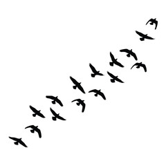 Silhouetted flock of birds in flight forming a natural v-shape migration pattern silhouette