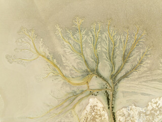 Aerial view of dendritic drainage patterns etched into the sandy landscape, creating a mesmerizing natural artwork, Barbate marshes, CÃ¡diz province, Andalusia, Spain.