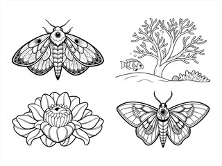 coloring page line art the flower black vector bundle