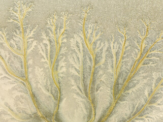 Aerial view of intricate, dendritic patterns etched into the landscape, resembling delicate, ghostly trees against a muted canvas, Barbate marshes, CÃ¡diz province, Andalusia, Spain.