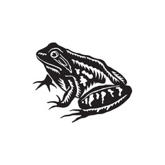 Frog Silhouette Vector Illustration Black and White Amphibian Design