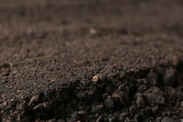 Pile of fresh soil as background, closeup