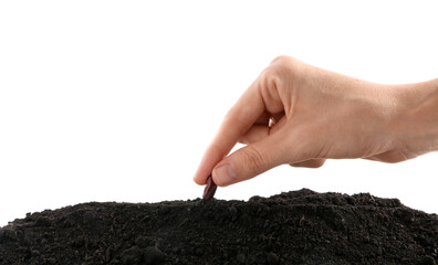 Woman putting bean into fresh soil on white background, closeup