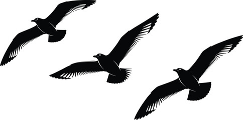 Black bird silhouettes in flight, isolated on white background, artistic wildlife illustration, dynamic motion, nature concept, minimal design, feather detail