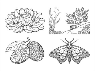 coloring page line art the moth black vector bundle