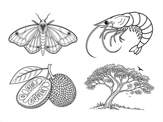 coloring page line art the moth black vector bundle