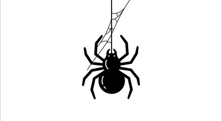 Creepy black spider descending on a delicate web, perfect for Halloween or spooky themes