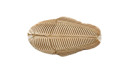 Topdown view of a decorative object isolated on transparent background, crafted from natural materials, showcasing intricate patterns and organic texture