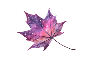 Galaxy painted maple leaf isolated on transparent background