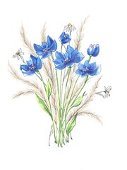 Watercolor bouquet of field flowers on white background.  Hand drawing illustration for decoration interior home. 