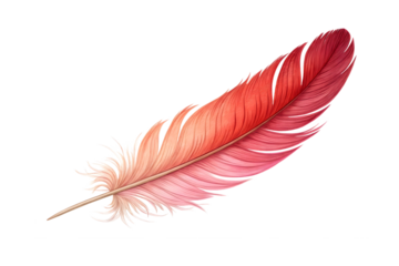 Beautiful watercolor painted red and pink bird feather isolated on transparent background