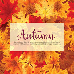 Autumn leaves set. Fall maple, oak, chestnut leaves, berries, acorn, forest foliage. Botanical elements of natural floral design. Flat vector illustration isolated on white background