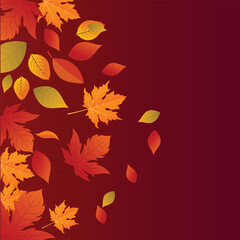 Autumn leaves set. Fall maple, oak, chestnut leaves, berries, acorn, forest foliage. Botanical elements of natural floral design. Flat vector illustration isolated on white background