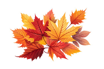 hand, holding, coin, golden, dollar, symbol, money, currency, finance, economy, wealth, investment, profit, success, business, cash, payment, value, rich, fortune, gold, financial, concept, isolated, 