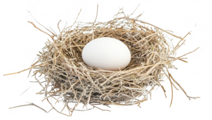 A solitary white egg resting in a natural nest made of twigs and dried grass. symbolizing new beginnings and natures cycles. with a soft. neutral background enhancing its simplicity