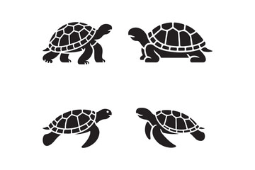 Four stylized black silhouette tortoises and turtles on white background