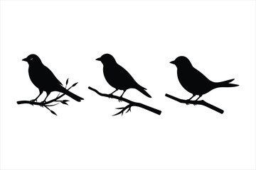 three birds on a branch vector art