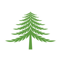  pine tree logo design