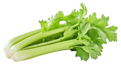 Fresh green celery stalks with leaves. arranged neatly against a white background. ideal for culinary use in salads or healthy recipes. the freshness and crispness of the produce