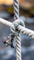 Close-up of a knotted rope