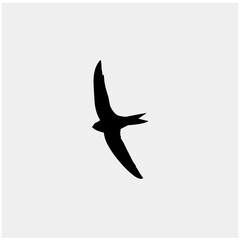 A striking silhouette of a swift in mid-flight captures the essence of freedom and agility. The bird's streamlined form is a testament to its mastery of the air.