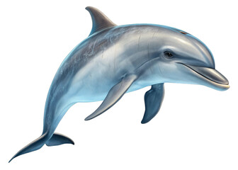 Fototapeta premium Dolphin isolated on a transparent background.
