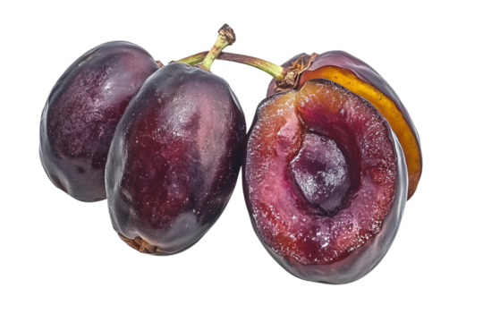 Lush date palm isolated on transparent background