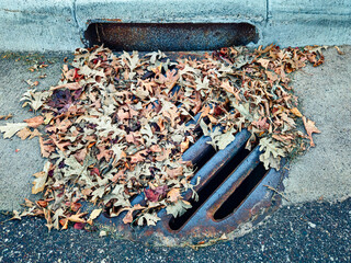 A storm drain by a street curb covered with fallen autumn leaves, potentially causing a blockage...