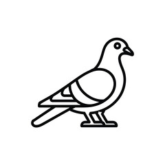 Simple line art icon of a pigeon standing