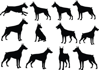 Doberman dog silhouettes, black dog poses, guard dog illustration, domestic pet vector, protection breed artwork, standing sitting running dog shapes