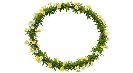 Floral wreath with yellow and white flowers isolated on transparent background, decorative botanical garland for spring and summer designs