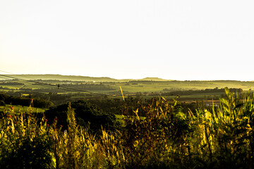 Fototapeta premium sunset in brazil