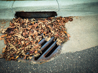 A storm drain with a fallen autumn leaves, potentially causing a blockage and impacting water runoff and sewer systems. Infrastructure design element or background with copy space.