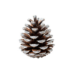 Snow-Dusted Pine Cone: Winter Holiday Decor Isolated on White