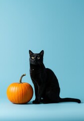 Black Cat Silhouette with Pumpkin on Plain Background