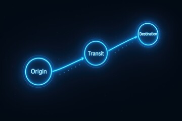 Digital Pathway Showing Origin, Transit, and Destination